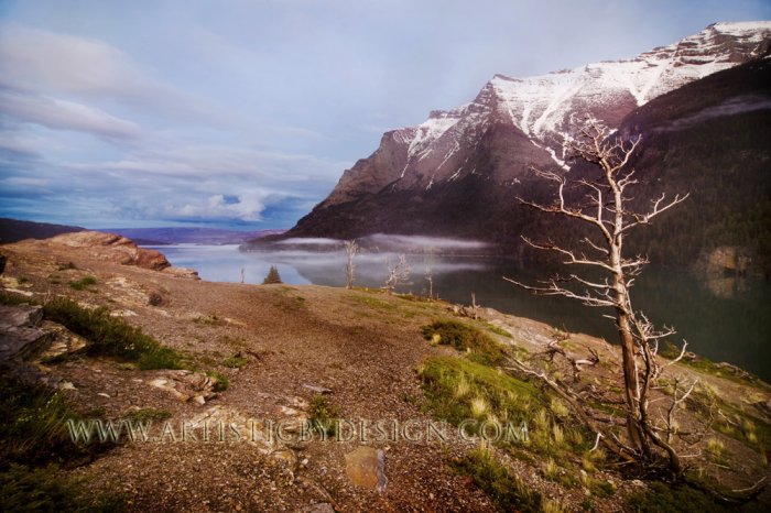 Wind-Sculpted Sentry of Sun Point - 20"x 30" Signed Print