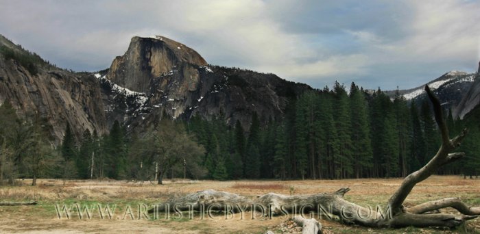 Rugged Half Dome - 10"x 20" Signed Print