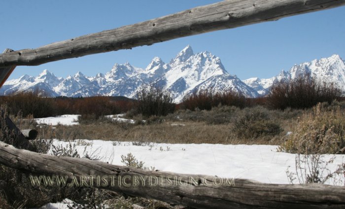 Longing to Reach the Peak - 20"x 30" Signed Print