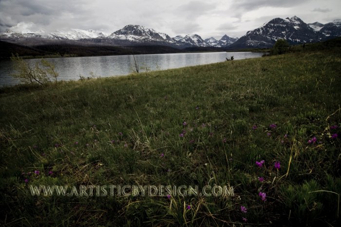 The Calm - 20"x 30" Signed Print