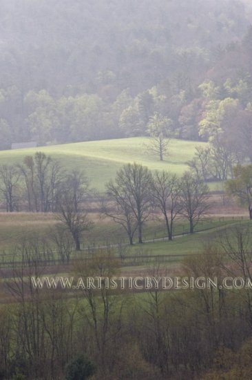 Light in the Meadow - 20"x 30" Signed Print