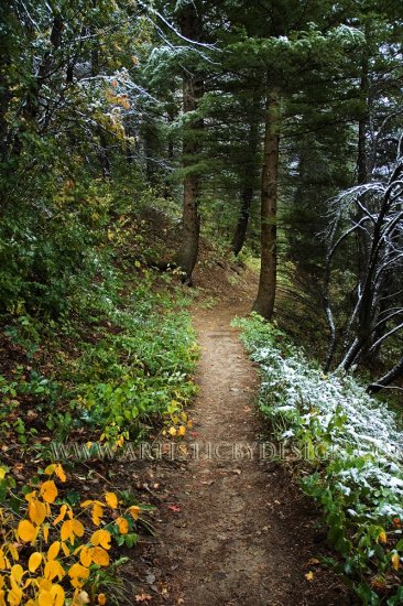 Guarded Trail - 20"x 30" Signed Print