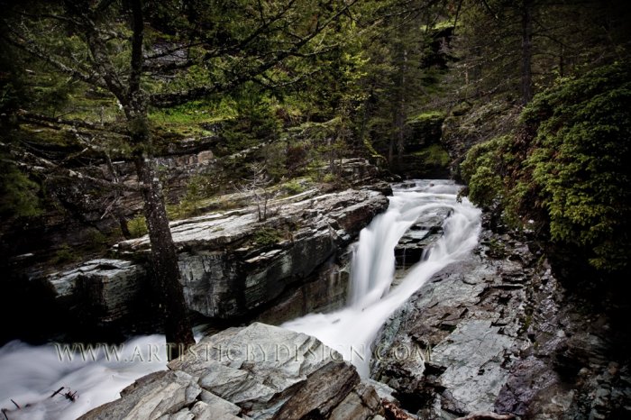 Signs of a Northern Spring - 20"x 30" Signed Print
