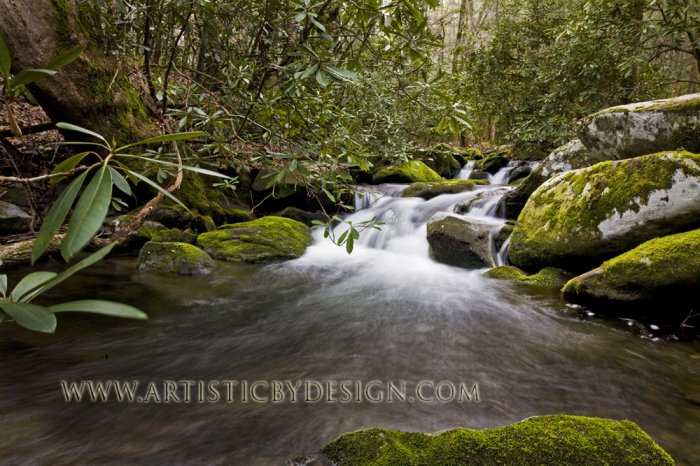 Cascading Falls of Anthony Creek - 20"x 30" Signed Print