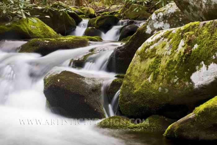 Stories in the Water - 20"x 30" Signed Print