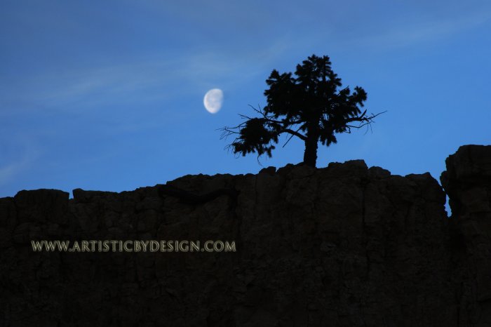Moonset at Bryce Canyon - 20"x 30" Signed Print