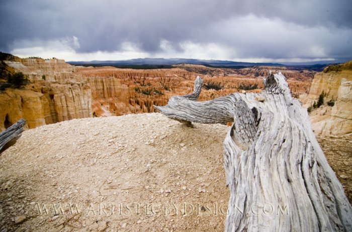 Heading Towards the Utah Wilderness -20"x 30" Signed Print