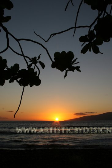 Pacific Blaze - 20"x 30" Signed Print