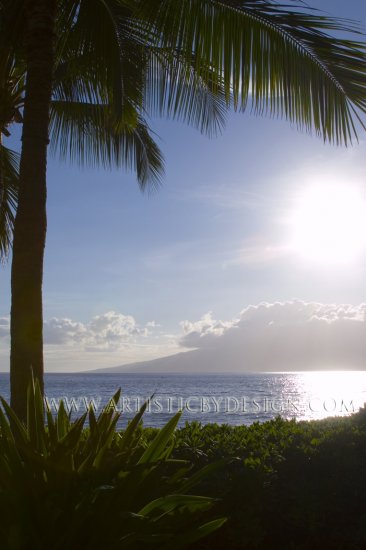 Overlooking Moloka'i - 20"X 30" Signed Print