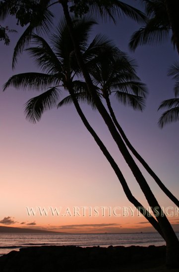 Pacific Sunset - 20"x 30" Signed Print