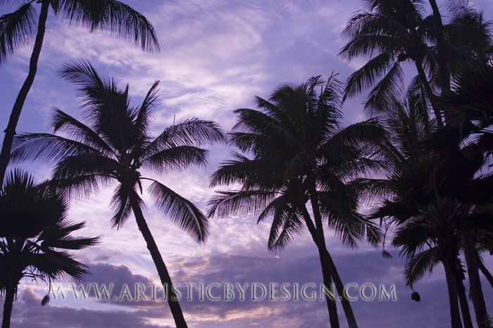 Hawaii Royale - 20"x 30" Signed Print