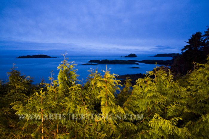 Blues of the Pacific Northwest - 20"x 30" Signed Print