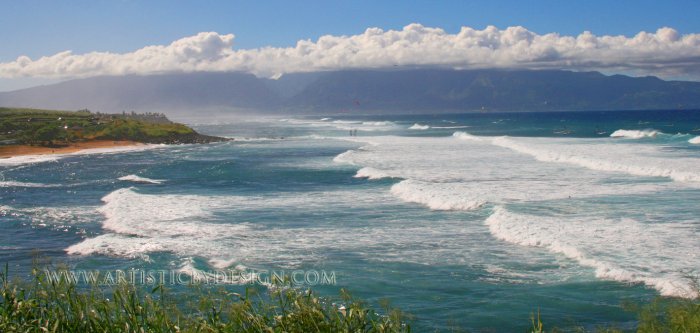 Pacific Waves Rolling In - 10"x 20" Signed Print
