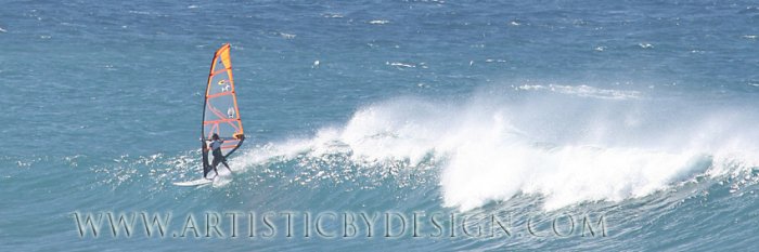 Chasing the Wind - 10" x 30" Signed Print