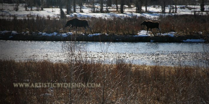 Morning Stroll with Mom - 10"x 20" Signed Print