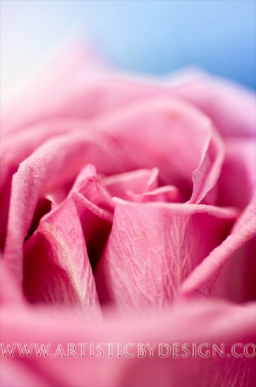 Layered Beauty - 20"x 30" Signed Print
