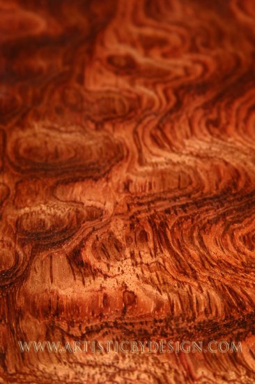 Cocobola - 20"x 20" Signed Print