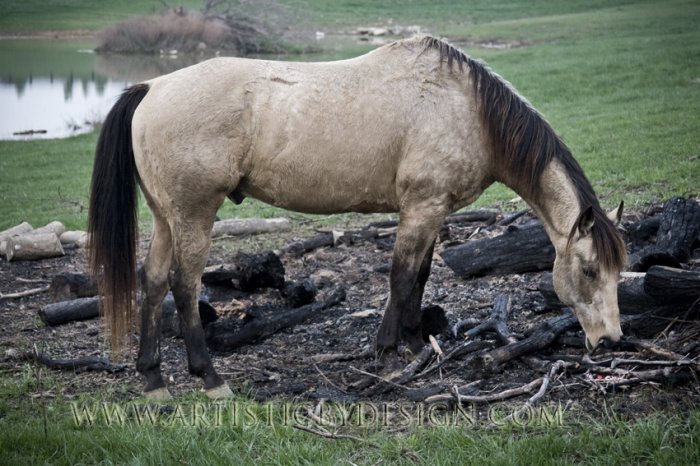 Desaturation - 20"x 30" Signed Print
