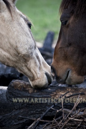 To a Crisp - 20"x 30" Signed Print