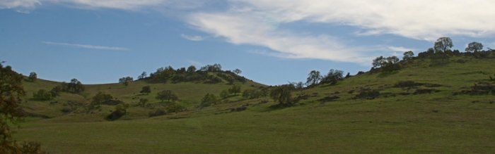 California Hillside - 10"x 30" Signed Print