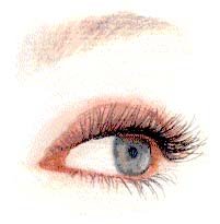 Lash and Brow Tints
