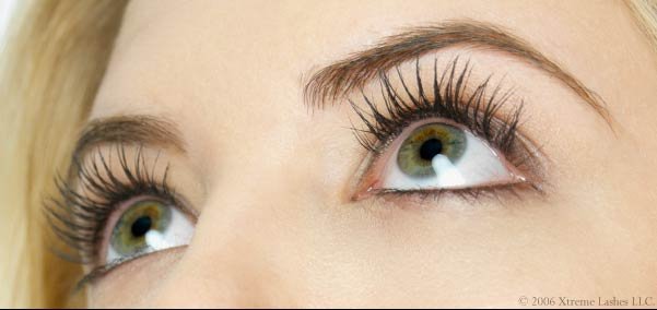 Luxury Lashes Fill