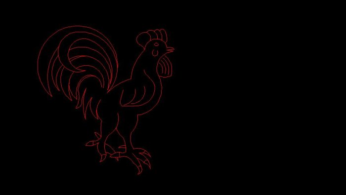 Rooster