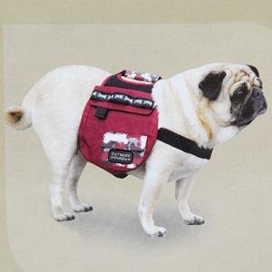 Outward Hound Urban Adventure Backpack - Small