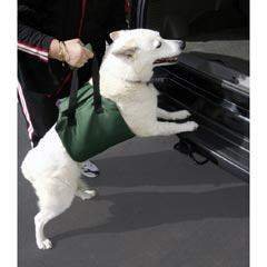 Outward Hound Up & Out Lift Harness for dogs. A lightweight alternative to pet ramps