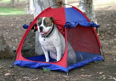 Outward Hound Pet Tent - Medium Perfect for Camping