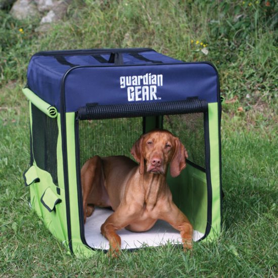 Medium Guardian Gear Collapsible Dog Crate Kennel Lime/Blue