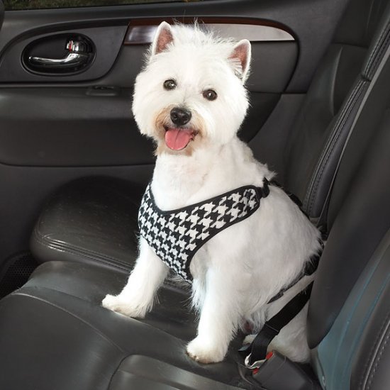 Cruising Companion Houndstooth Auto Car Safety Dog Harness X-Small