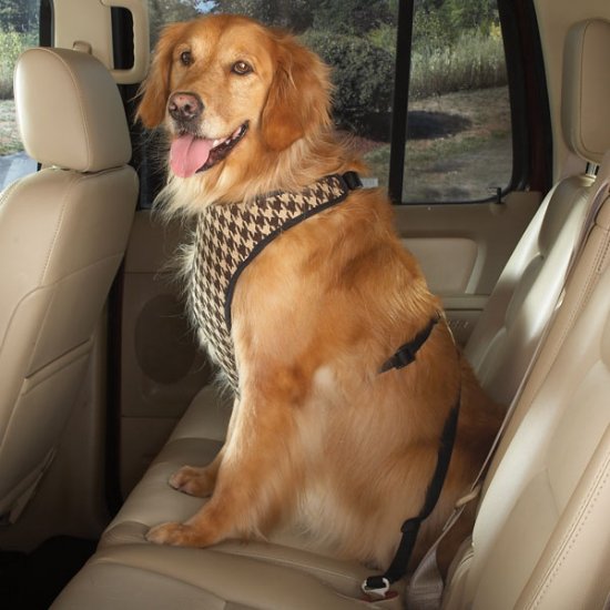 Cruising Companion Houndstooth Auto Car Safety Dog Harness Large