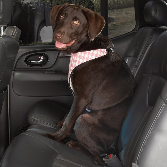 Cruising Companion Houndstooth Auto Car Safety Dog Harness X-Large