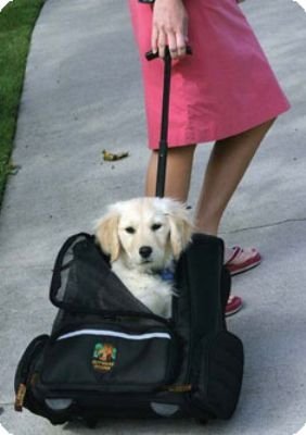 Outward Hound Rolling Pet Carrier and Backpack for Dogs Back Pack holds pets up to 20 lbs.