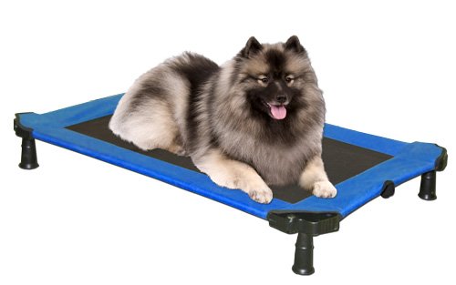 Medium Pet Gear Portable Pet Cot Dog Bed ~ Sky Blue ~ 36"L x 24 "W x 5"H
