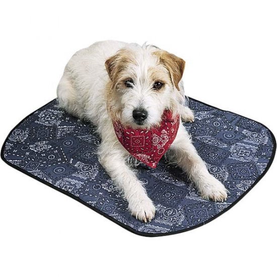 Miracool Doggie cooling Mat Puppy Warming Pad Crate Kennel Large 36 x 26