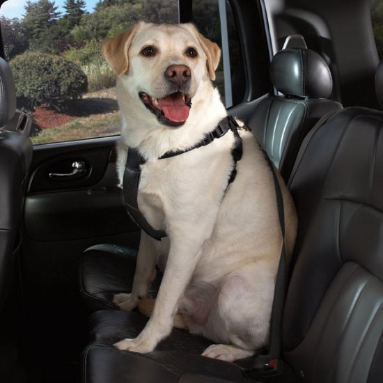 Cruising Companion Auto Car Safety Dog Harness Large 28"-36" Blue, Black, Pink