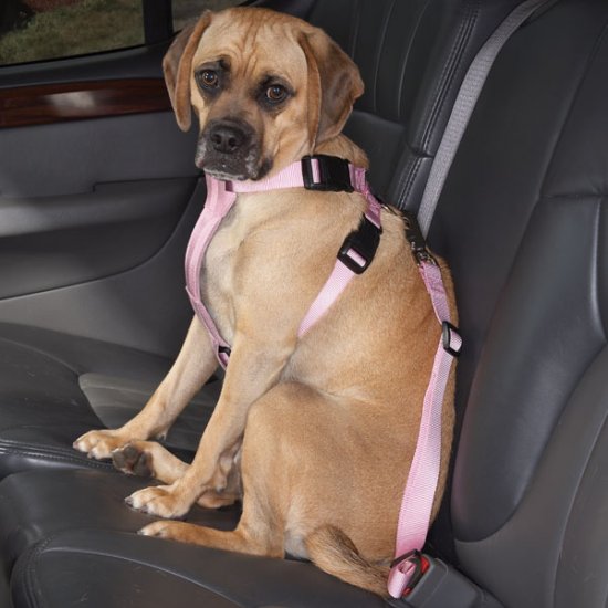 Cruising Companion Auto Car Safety Dog Harness Small Medium 12"-28" Blue, Black, Pink