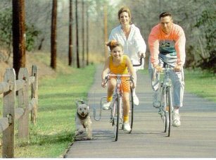 Springer Leash Bike Attachment Bicycle Control Dog Lead