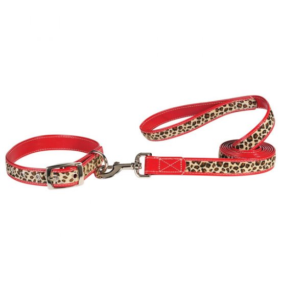 6" - 8" Zack & Zoey Safari Dog Collar with 4 or 6 foot lead leash RED LEOPARD