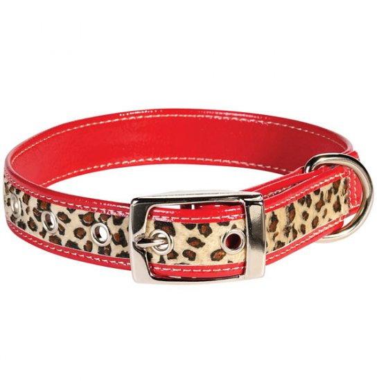 8" - 11" Zack & Zoey Safari Dog Collar with 4 or 6 foot lead leash RED LEOPARD