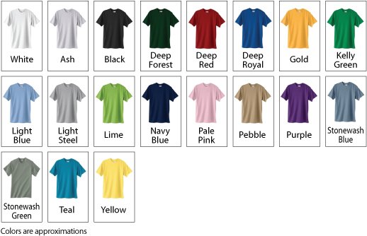 Hanes Heavyweight 50/50 T-Shirt