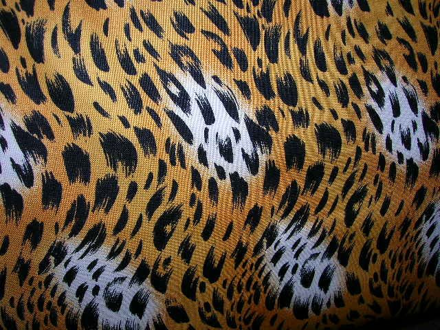 Jaguar Shopping Cart Cover