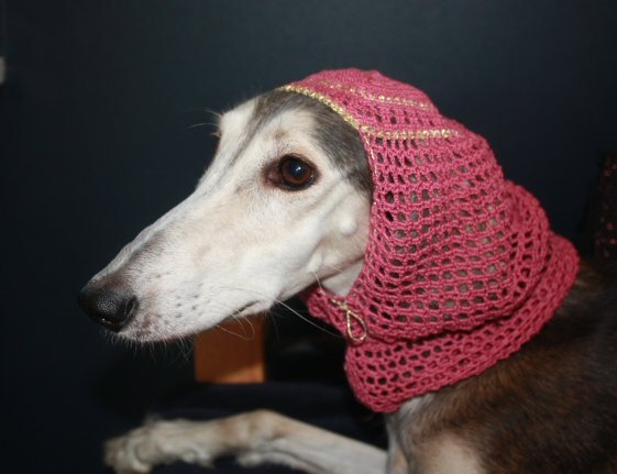 Harem snood - Dark pink