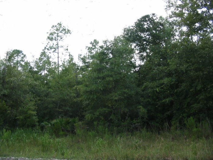 34.76 Acres in Cecil Co., MD