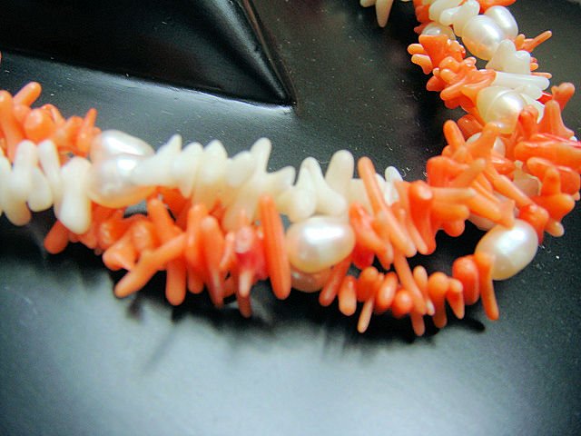 Corel & Pearls