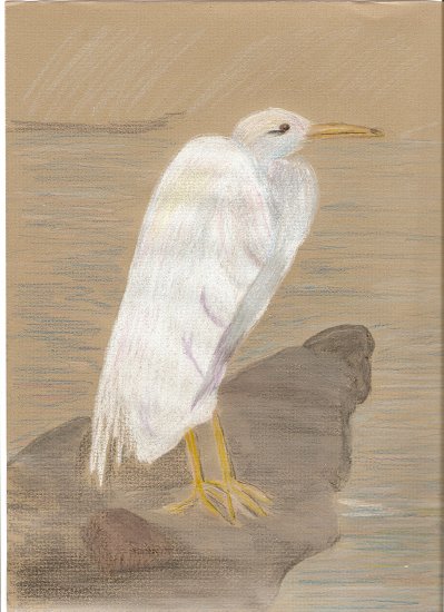 Standing By The Shore ACEO print numbered and signed