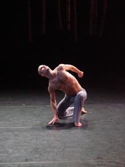 Performance & Repertory