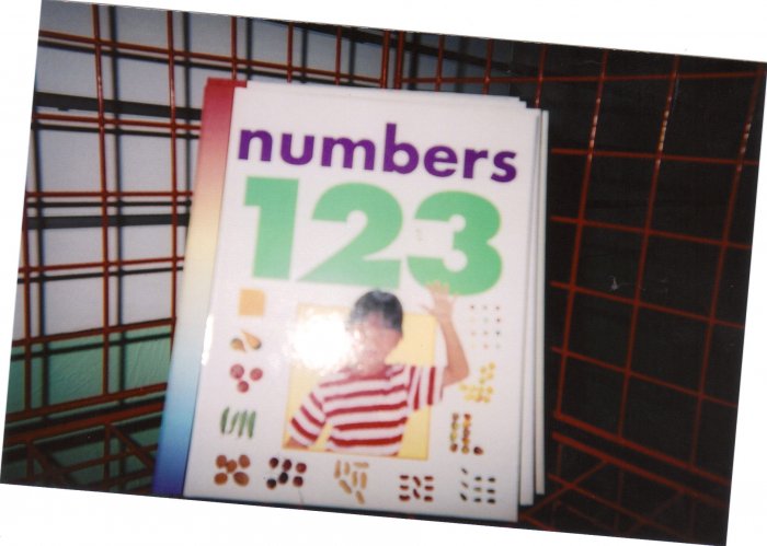123 numbers book
